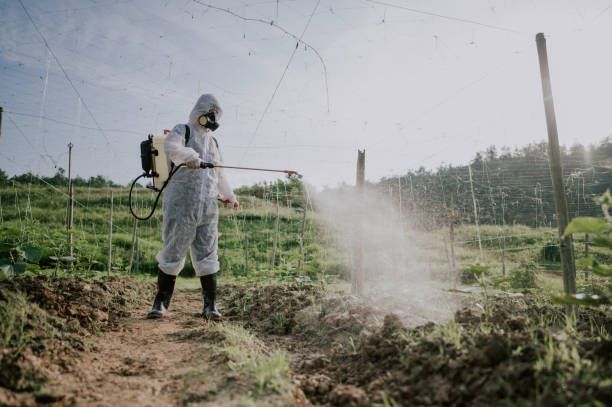 Best Local Pest Control Services  in Bayshe, OR