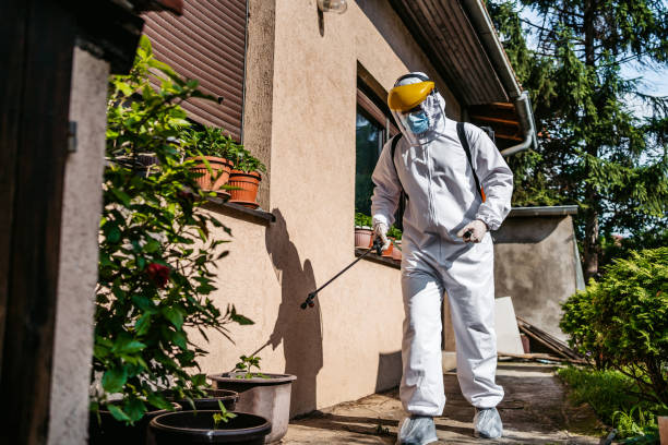 Best Rodent Control Near Me  in Bayshe, OR