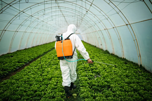 Best Pest Prevention Services  in Bayshe, OR