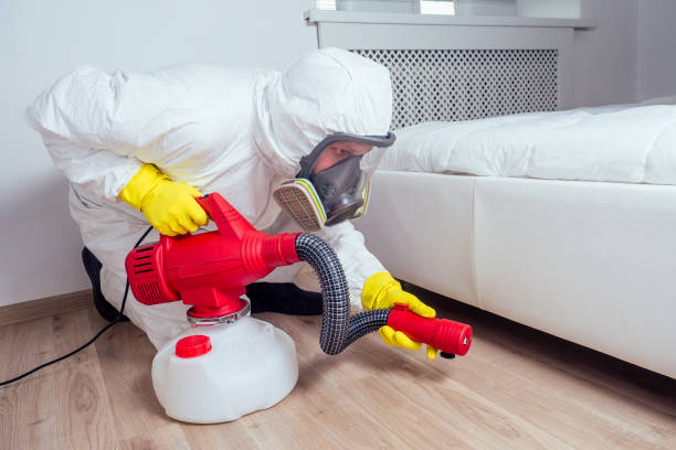 Best Affordable Pest Control Services  in Bayshe, OR