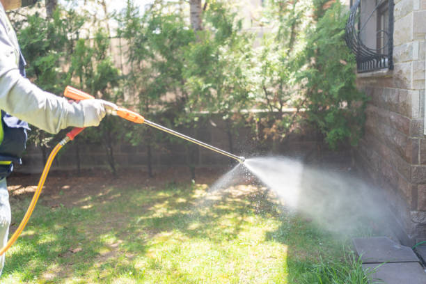 Best Pest Control Near Me  in Bayshe, OR