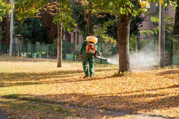 Best Wildlife Control Services  in Bayshe, OR