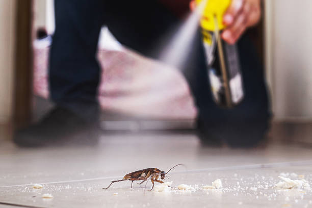 Best Wildlife Control Services  in Bayshe, OR