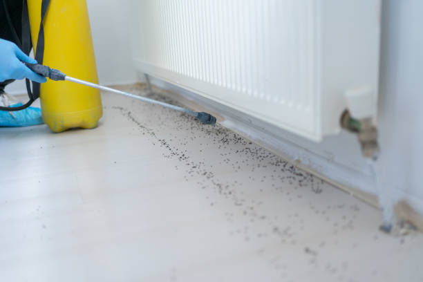 Trusted Bayshore, OR Pest Control Experts