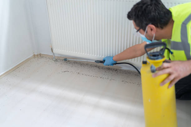 Best Pest Inspection Near Me  in Bayshe, OR