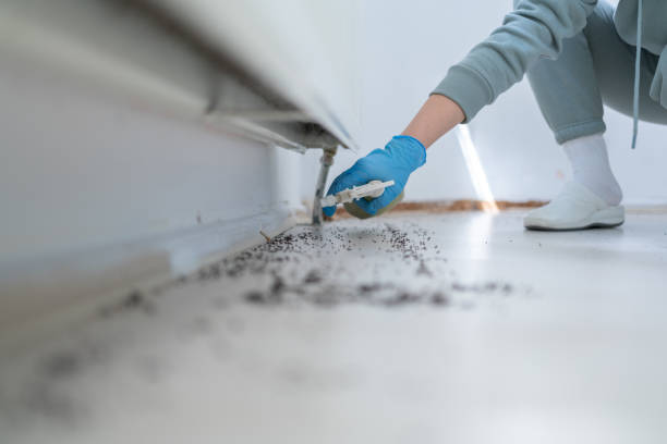 Best Pest Inspection Near Me  in Bayshe, OR